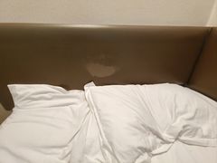 -海友酒店(上海静安寺店)