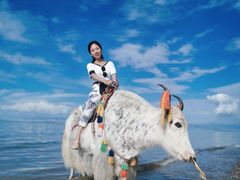 -青海湖国家重点风景名胜区