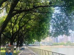 -西北湖绿化广场