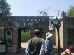 -白洋淀景区