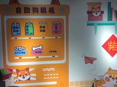 -柴犬高等学院·狗咖·柴犬售卖·宠物训练