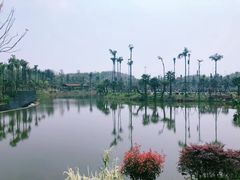 -枫香湖儿童公园