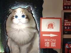 -猫腻·猫咖·撸猫馆(星光大道店)