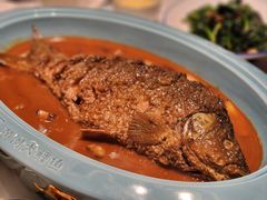 -阿五黄河大鲤鱼(纬三路店)