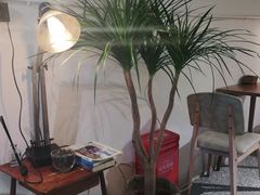 -甘单茶事小馆(洋河店)
