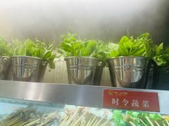 -钢管厂五区小郡肝火锅串串香(总店)