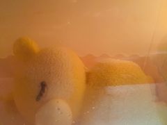 -中粮丰通（北京)食品有限公司