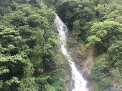 -黑河国家森林公园