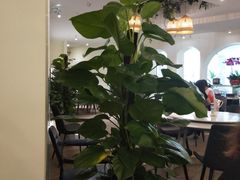 大堂-香香海南菜餐厅