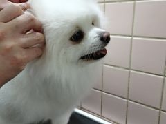 -FAELING PETS美天灵宠物(富力广场店)