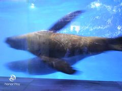 -石林冰雪海洋世界