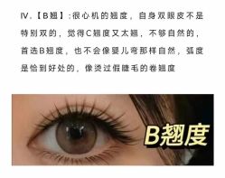 -丽尔美睫