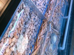 -盛江山自助料理(奥莱锦辉购物广场店)