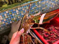 -巽寮印象美食部落餐厅·海鲜·地方特色菜(惠州体验店)
