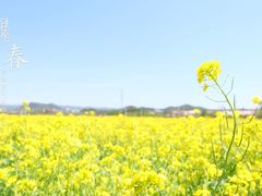 -北京金海湖景区