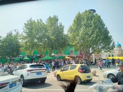 -石家庄市动物园