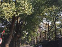 -上海虹桥迎宾馆