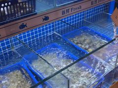 -合肥皇冠假日酒店·菲亚斯特自助餐厅(黄山路店)