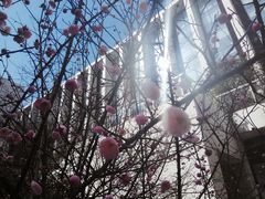 -无锡市市民中心