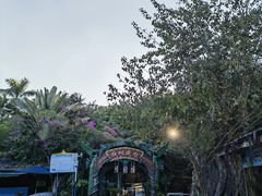 -瑞丽独树成林风景区