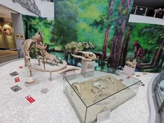 -中国地质大学逸夫博物馆