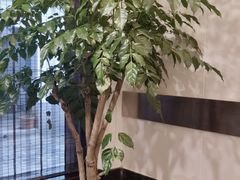 -儒之堂足道·SPA·推拿(莫干山路店)