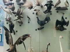 -国家自然博物馆