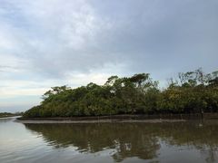 -东寨港红树林旅游区