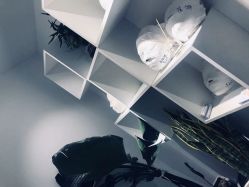 -紫御国际抗衰ZOE ANTI AGING