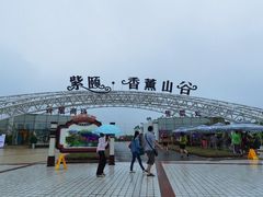 -紫颐香薰山谷景区