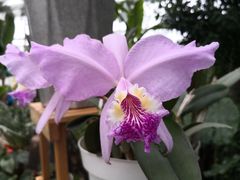 -国家植物园南园