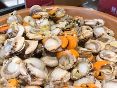 冻扇贝肉-龍歌自助小火锅(市南金茂湾店)