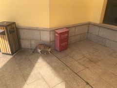 -金隅凤山酒店