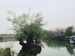 景观位-喜洋洋蟹庄(阳澄湖店)
