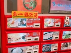 -一蘭拉面(新宿中央东口店)