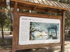 -敦煌莫高窟