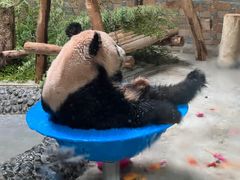 -青岛动物园