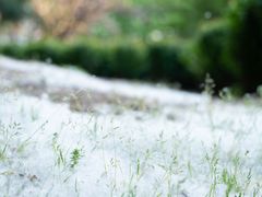 -白塘生态植物园