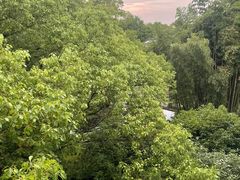 -上海雅居乐万豪侯爵酒店
