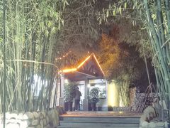 -清雅臻品·竹林院落·新派青岛菜(崂山店)
