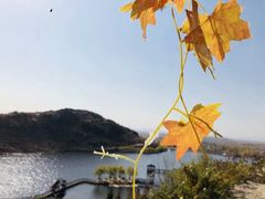 -沂蒙云瀑洞天景区