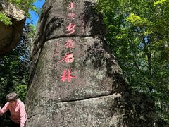 -汤旺河林海奇石景区