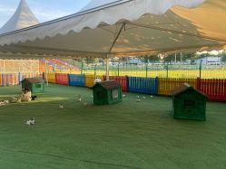 -萌宠亲子动物乐园(槐房万达店)