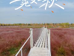 -嘉北郊野公园