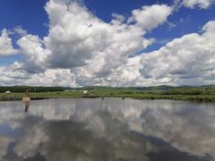 -塞罕坝国家级自然保护区