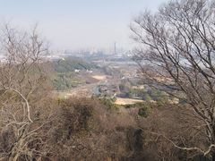 -苏州上方山国家森林公园