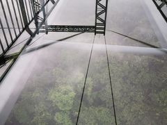 -呀诺达热带雨林