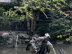 -汇龙潭