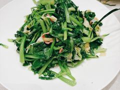 -新吉士·上海菜(浦东LCM置汇旭辉店)