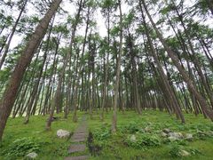 -硗碛藏寨·神木垒景区